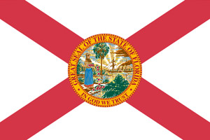 Florida flag showing that online traffic school program is DHSMV approved