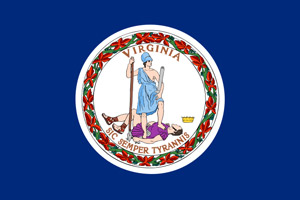 Virginia flag indicating this course is approved by the Virginia DMV for all courts
